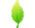 Leaf Logo