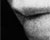 Realistic Film Grain