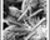 Black and White Conversion Tool