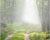 Fog Effect