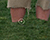 Remove Something From An Image