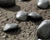 Jiggling and Scaling With Maxscript