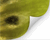 Realistic Page Curl