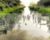 Advanced photo effect