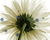 Vibration animation by action script