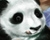 Digital Video Painting Tutorial Little Panda Girl