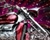 Harley Davidson Motorcycle Wallpaper