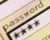 Password section in flash