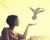 Bird flight animation