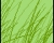 Grassy Field