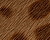 Fur Texture