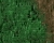 Grass Texture