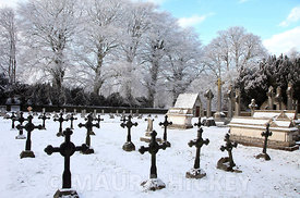 Maynooth College grave yard..08.01.09..Pic. Maura Hickey/086 8541130.