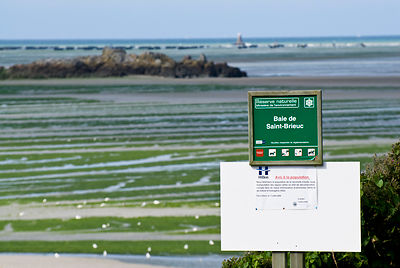 Algues vertes Bretagne
