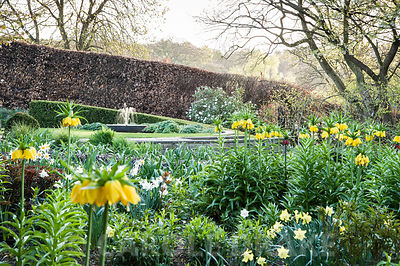 Bed in the Canal Garden is full of crown imperials, Fritillaria imperialis, narcissi and pulmonarias, with water feature glimpsed beyond, the focal point of Sybil's Garden, designed by Alistair Baldwin in 2005. York Gate Garden, Adel, Leeds, Yorkshire