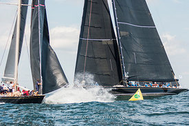 ELF_MG_1778
