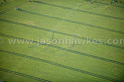 Electric pylons in fields, Church Street, Kent