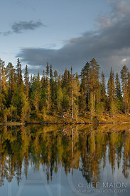 Forest and lake at sunset