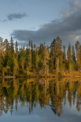 Forêt et lac au coucher du soleil