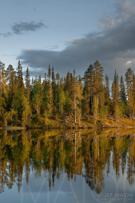 Forêt et lac au coucher du soleil