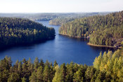 Repovettä Mustalamminvuoren näkötornista