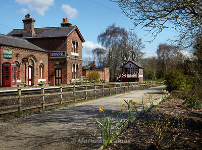 old station at Hadlow Road with daffodils