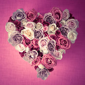 Rose Heart