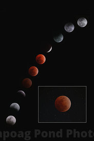 1109_Lunar_Eclipse_no_Text