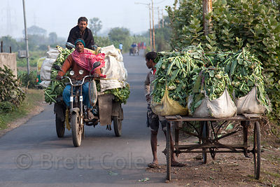 Farmers transporting cauliflower on old three-wheel motorcycles pass in front of the Dhapa Dumping Grounds, the primary landfill for Kolkata, India.