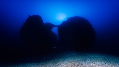 Panoramic view at 100 meters depth