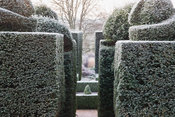 Succession of formal cut yew, with view down into the brick garden. Kingston Maurward Gardens, Dorchester. Dorset, UK