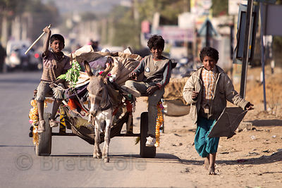 A group of boys bring trash (recycling) they've collected from a rural village to be redeemed in town, via their donkey cart, Pushkar, Rajasthan, India
