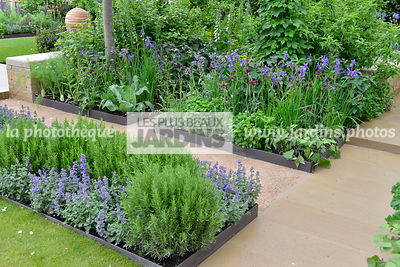 Petit jardin, urbain, Style champêtre contemporain : Rosmarinus officinalis, Nepeta faassenii 'Blauknirps', Iris sibirica 'Tropic Night', Paysagiste : Adam Frost, CFS, Angleterre