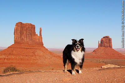 Merlin at Monument Valley Mittens