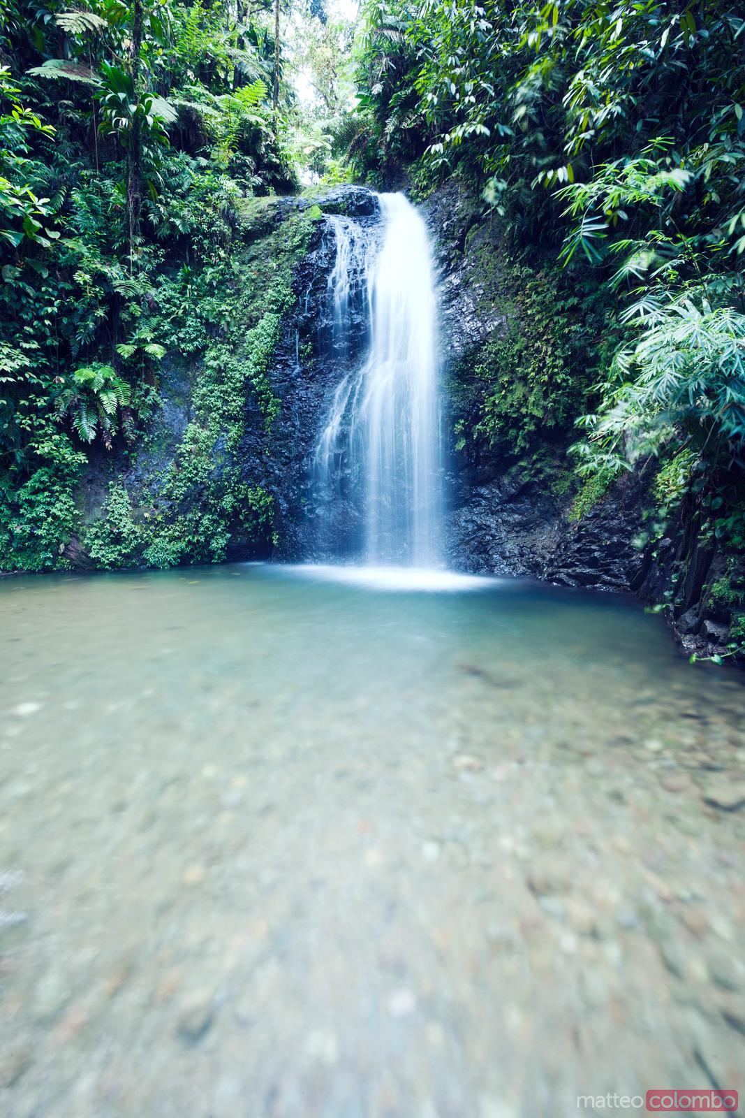 Matteo Colombo Travel Photography Tropical rainforest in Martinique
