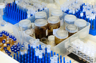 Tubes echantillons et flacon d'extraits de vegetaux