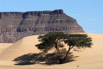 Mauritania