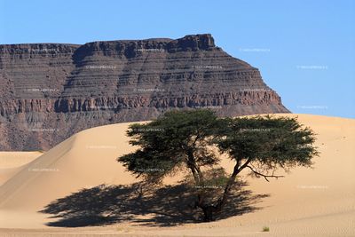 Mauritania