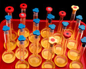 Laboratory flasks in soil analysis lab