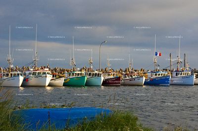 Iles de la Madeleine