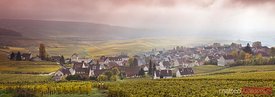 Vineyards in autumn, Champagne, France
