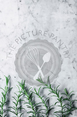 Rosemary row on marble background