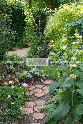 Massif de printemps. Jardin de André Eve. Pithiviers. Loiret