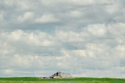 Fallen Barn