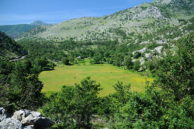 Poljé au Monténégro