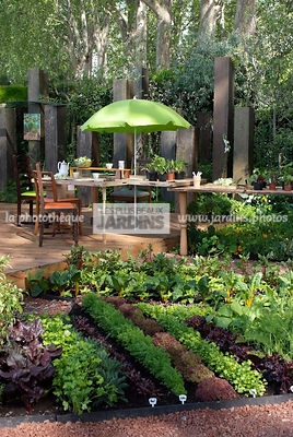 Potager biologique. Rang de salade : Lactuca sativa 'Amorina'; Lactuca sativa 'Fristina'; Lactuca sativa 'Red Fire'; Lactuca sativa 'Venziana'. Coin repas : table, chaise, parasol. Designer : Paul Stone. Chelsea FS, Angleterre