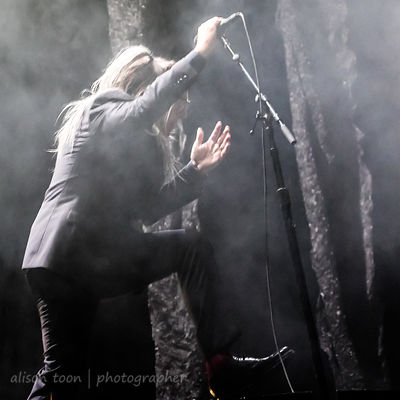 Maynard James Keenan, vocals, A Perfect Circle