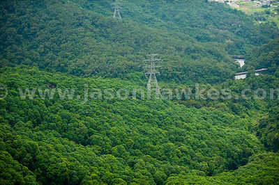 Aerial view of Electricity pylon in forest, Hong Kong