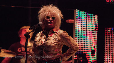 Blondie, Sunrise At Night, Citrus Heights, California, 2012