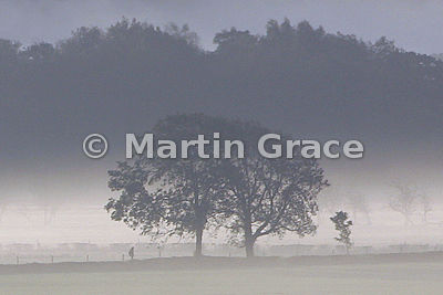 Morning Mist with Figure